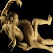 COMPAGNIE LA BARAKA